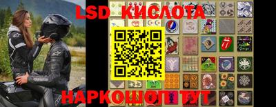 СК Нальчик