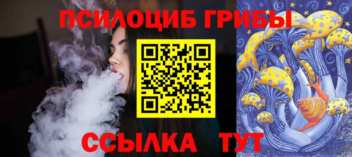 Галлюциногенные грибы мицелий  Галлюциногенные грибы Psilocybine cubensis  Тамбов  Вход с VPN 
